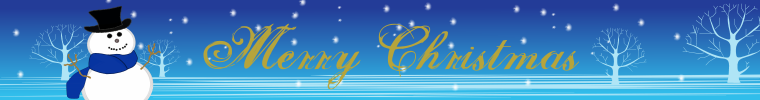 etsychristmasbanner5