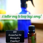 DIY-Essential-Oil-Mosquito-Repellent-l-A-better-way-to-keep-bugs-away-l-EverythingEtsy.com_.jpg
