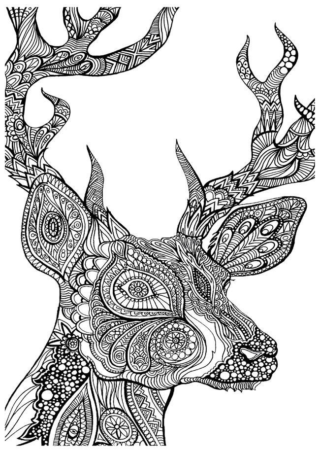 Where do you find coloring pages for adults?