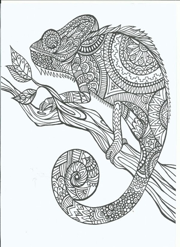 Where do you find coloring pages for adults?