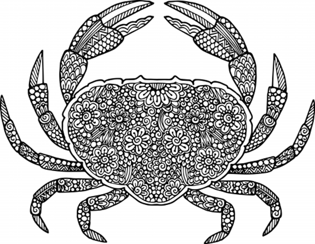 Free Printable Coloring Pages for Summer - Crab