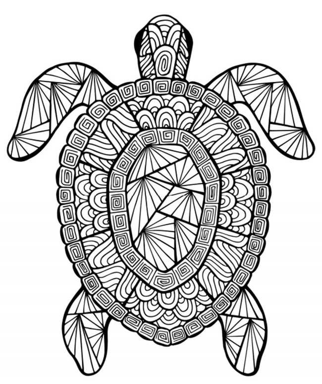 Free Printable Coloring Pages for Summer - Turtle