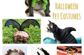 Handmade Pet Costumes for Halloween {Etsy Love}