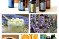 How Can I Start Buying doTERRA Essential Oils Wholesale? {Plus 2 Free Ebooks!}