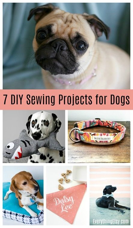 7 DIY Sewing Projects for Dogs
