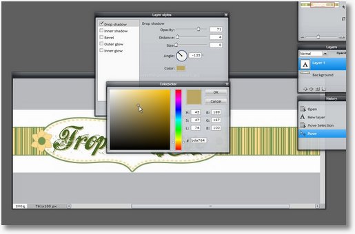 How-To Personalize Your Free Etsy Banner - Step Four - EverythingEtsy.com