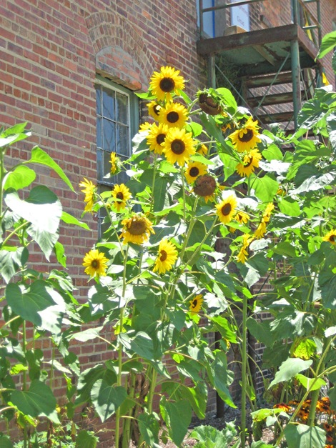 Asheville Pottery 3