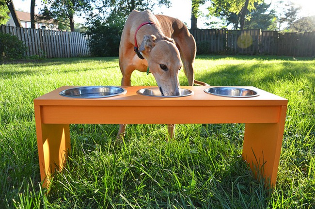 DIY Dog Feeder - funnel cloud