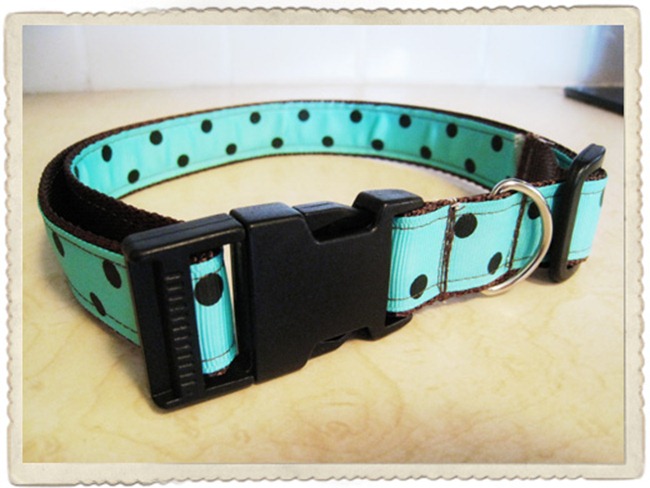 handmade dog collar - b spoke