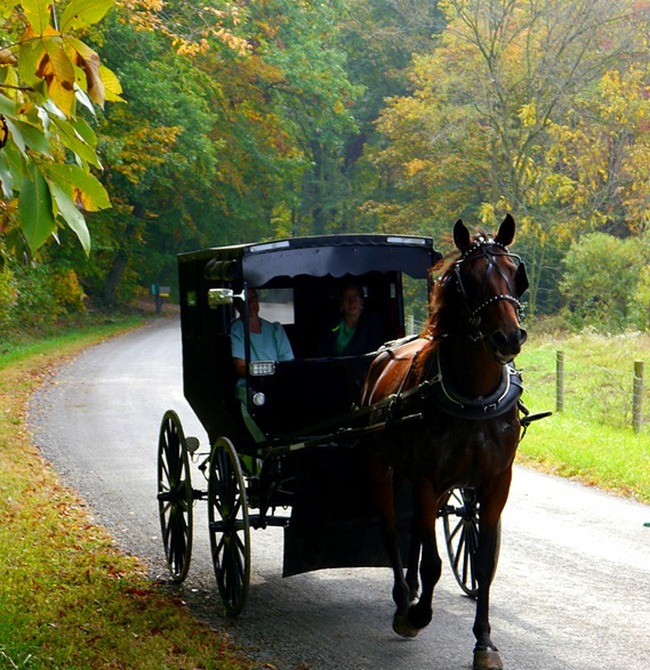 amish (1)