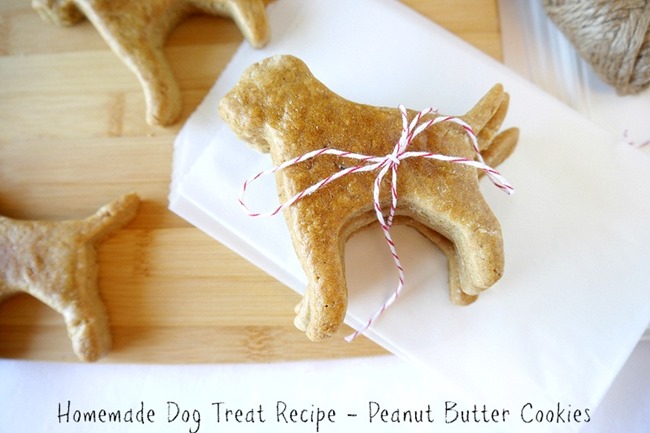 Homemade Dog Treats - DIY Gift