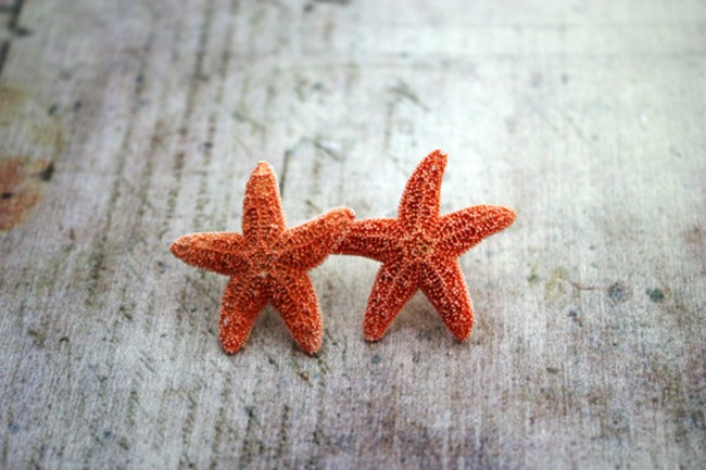 beach starfish earrings