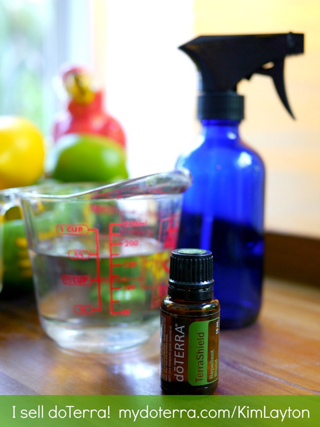 DIY Mosquito Repellent Spray - EverythingEtsy.com