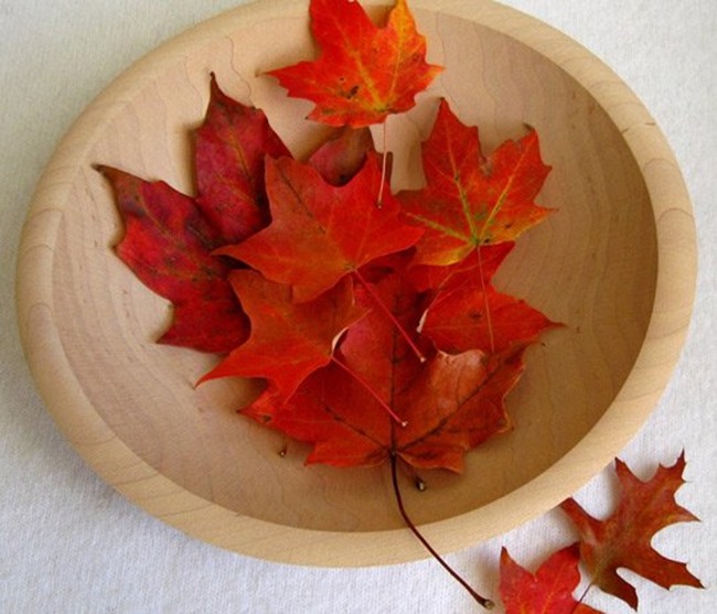 how to preserve fall leaves