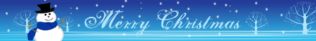 etsychristmasbanner1