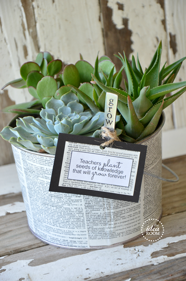 Succulent Garden Teacher Gift