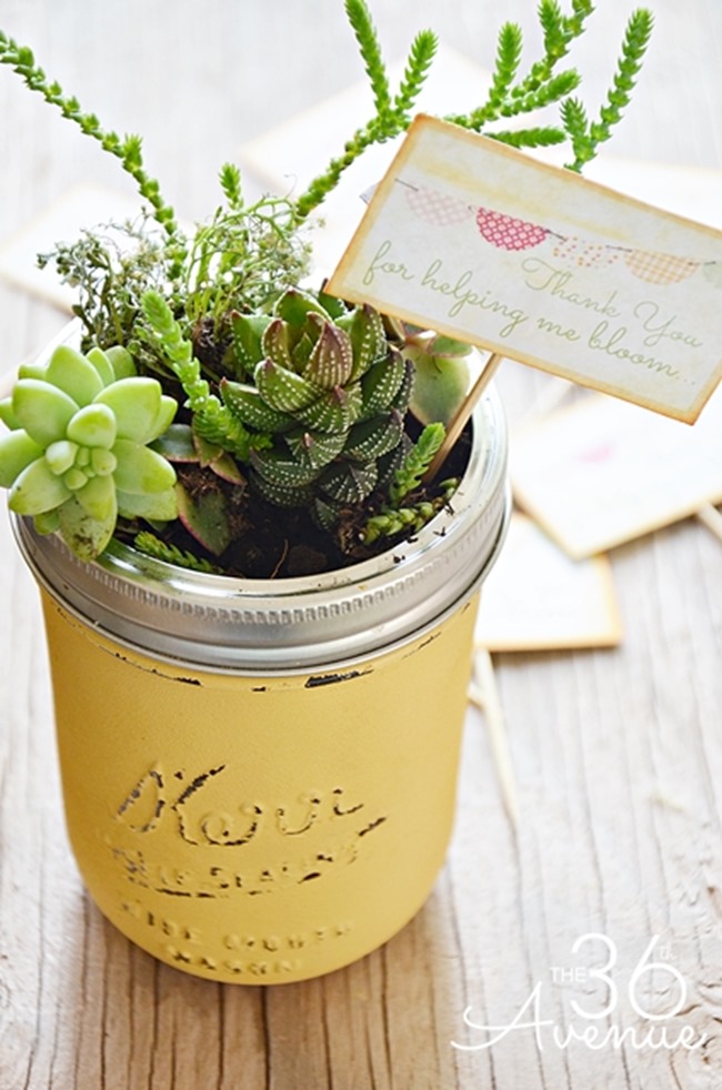 Teacher Gift Idea - mini garden