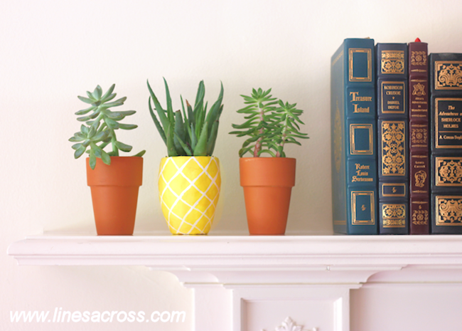 DIY Pineapple Planter