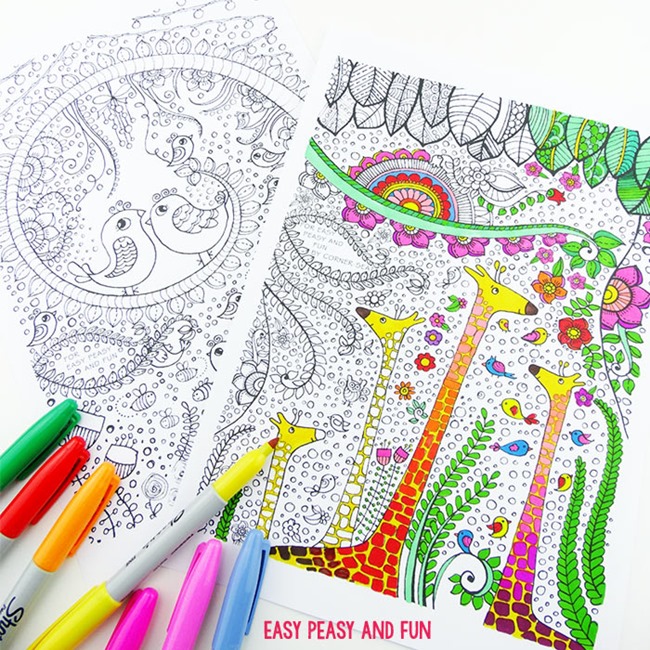 Adult coloring pages - bird and friends