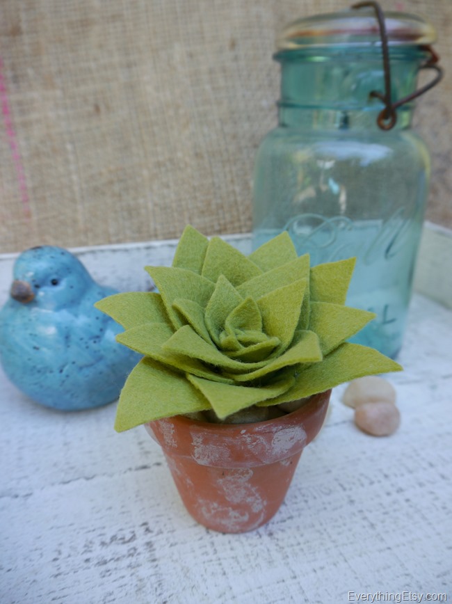 DIY Succulent made with felt - EverythingEtsy.com