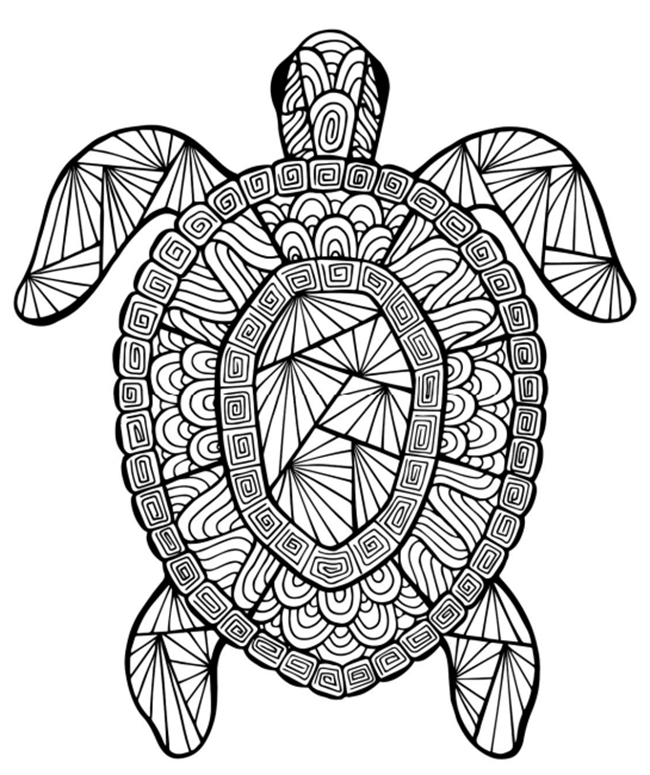 Free Summer Printable Coloring Pages 1