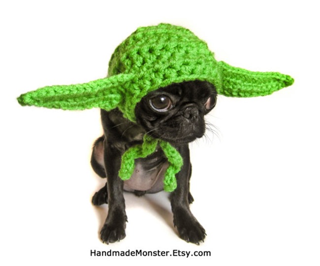 Handmade Pet Costume - Crochet Yoda