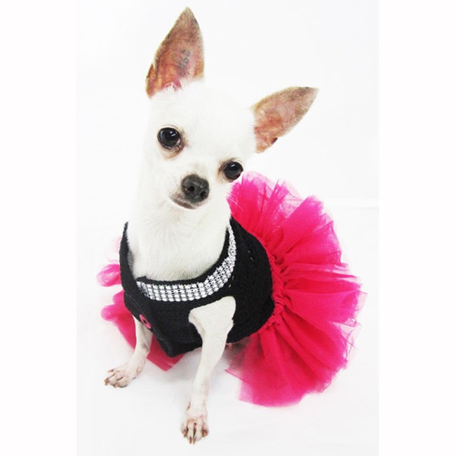 Handmade Pet Costume - Party Girl