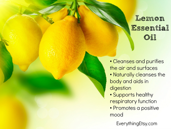 doTERRA Lemon Essential Oil and the Benefits - EverythingEtsy