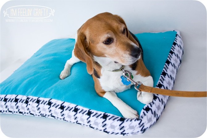 DIY Dog Bed - Sewing Projects for Dog Lovers