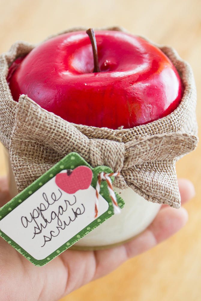 Fall DIY Gift Ideas - Apple Sugar Scrub - EverythingEtsy