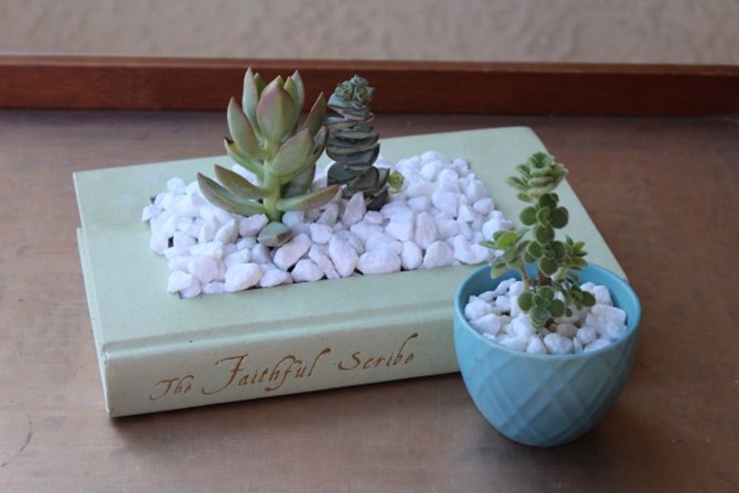 DIY Gift - Book Planter - Happily Dwell