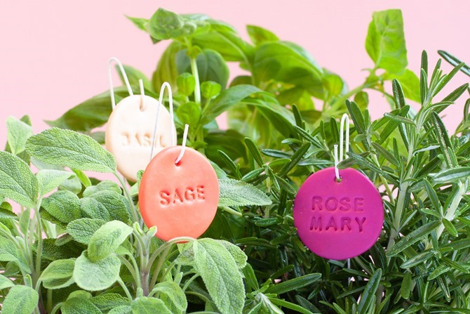 Herb Garden Plant Labels