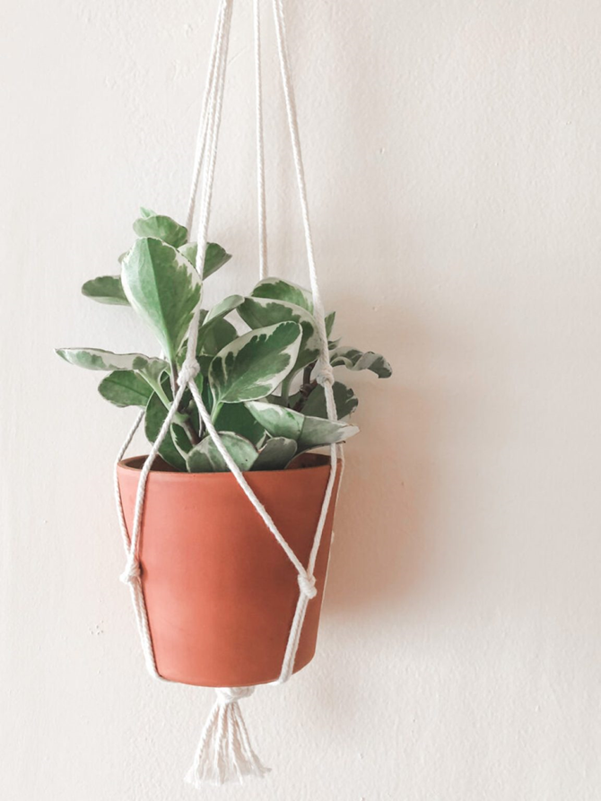 15 DIY Gifts for Plant Lovers - Macrame Plant Hanger - EverythingEtsy