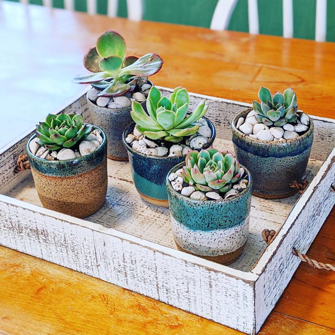 15 DIY Gifts for Plant Lovers - Shop on Etsy - KimberlyLayton.etsy