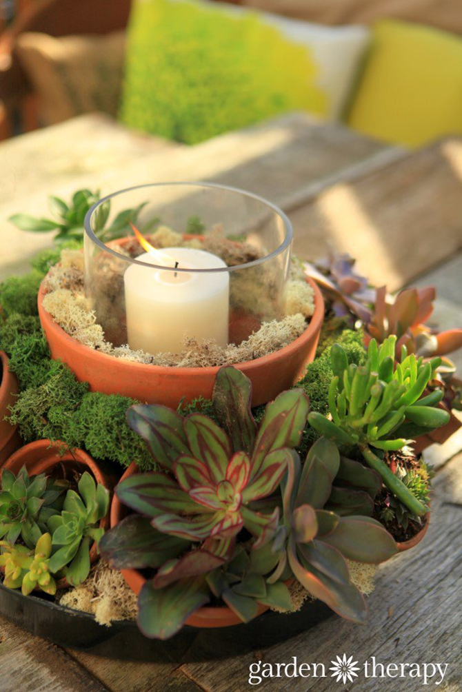 15 DIY Gifts for Plant Lovers - Succulent Centerpiece - EverythingEtsy