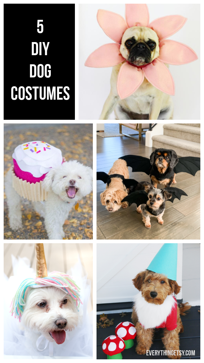 11 Easiest DIY Halloween Costumes for Dogs in 2023