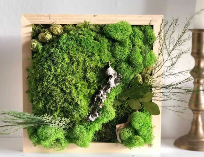 DIY Moss Wall Art on Everything Etsy